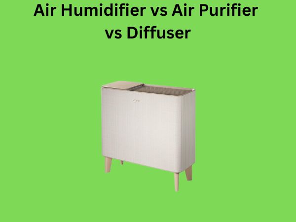 Air Humidifier vs Air Purifier vs Diffuser