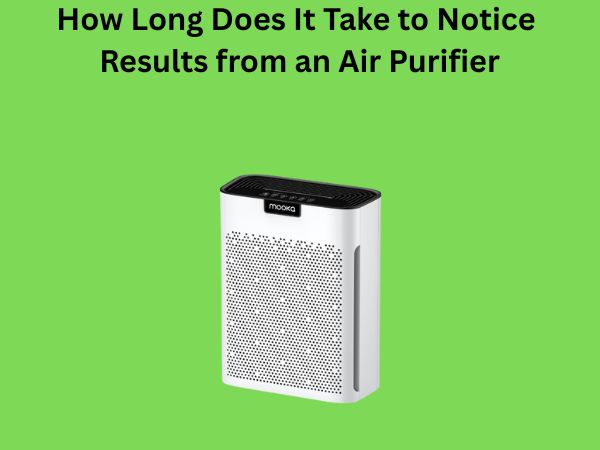 How Long Does It Take to Notice Results from an Air Purifier