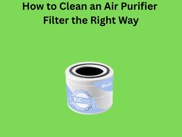 How to Clean an Air Purifier Filter the Right Way