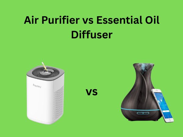 Air Purifier vs Essential Oil Diffuser