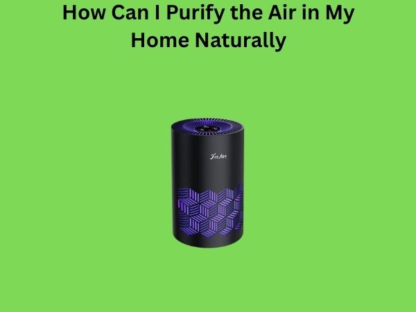How Can I Purify the Air in My Home Naturally