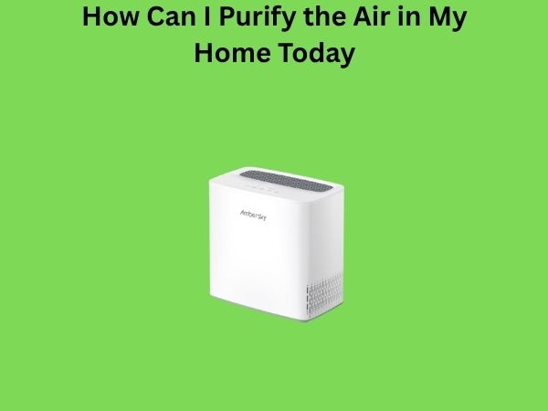 How Can I Purify the Air in My Home Today