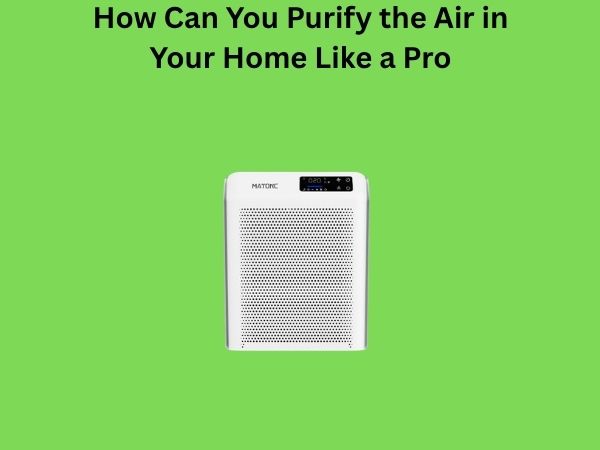How Can You Purify the Air in Your Home Like a Pro