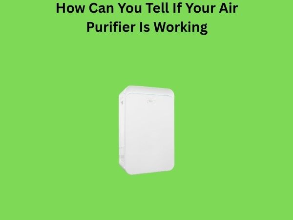 How Can You Tell If Your Air Purifier Is Working