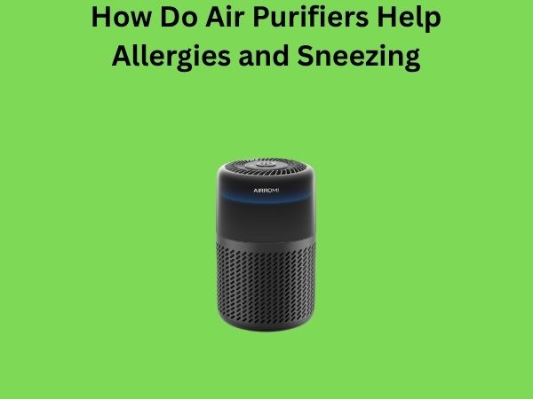 How Do Air Purifiers Help Allergies and Sneezing
