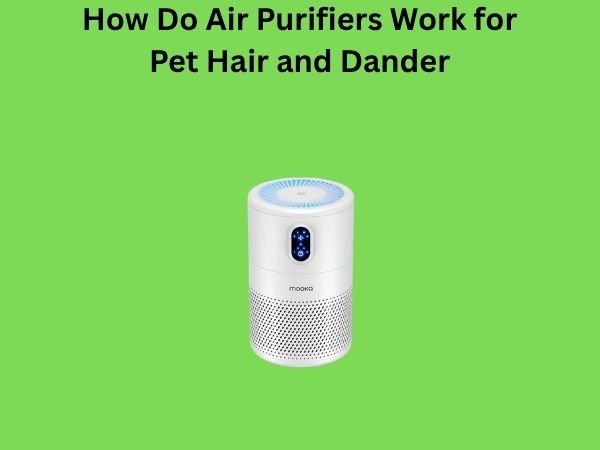How Do Air Purifiers Work for Pet Hair and Dander