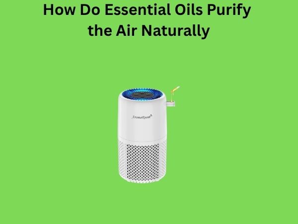 How Do Essential Oils Purify the Air Naturally