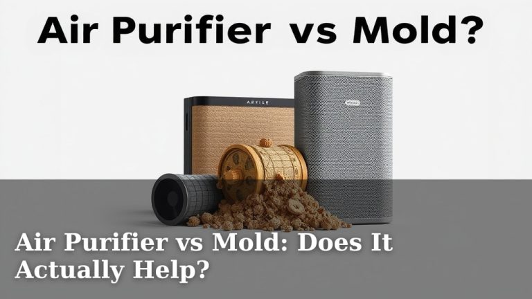 Air Purifier vs Mold: Does It Actually Help?